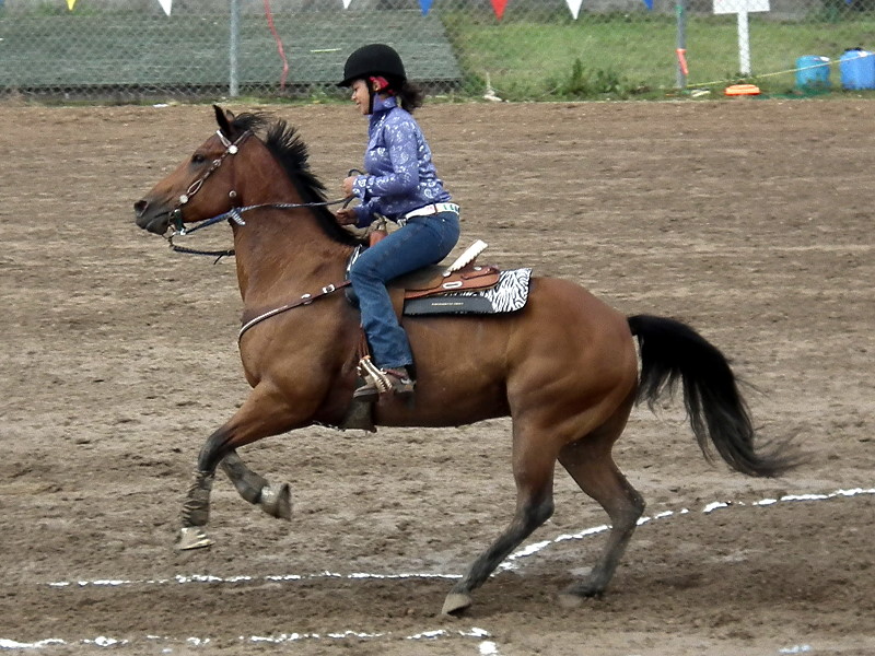 Local Riders Participate in Gymkhana and Horse Shows | Swan River News